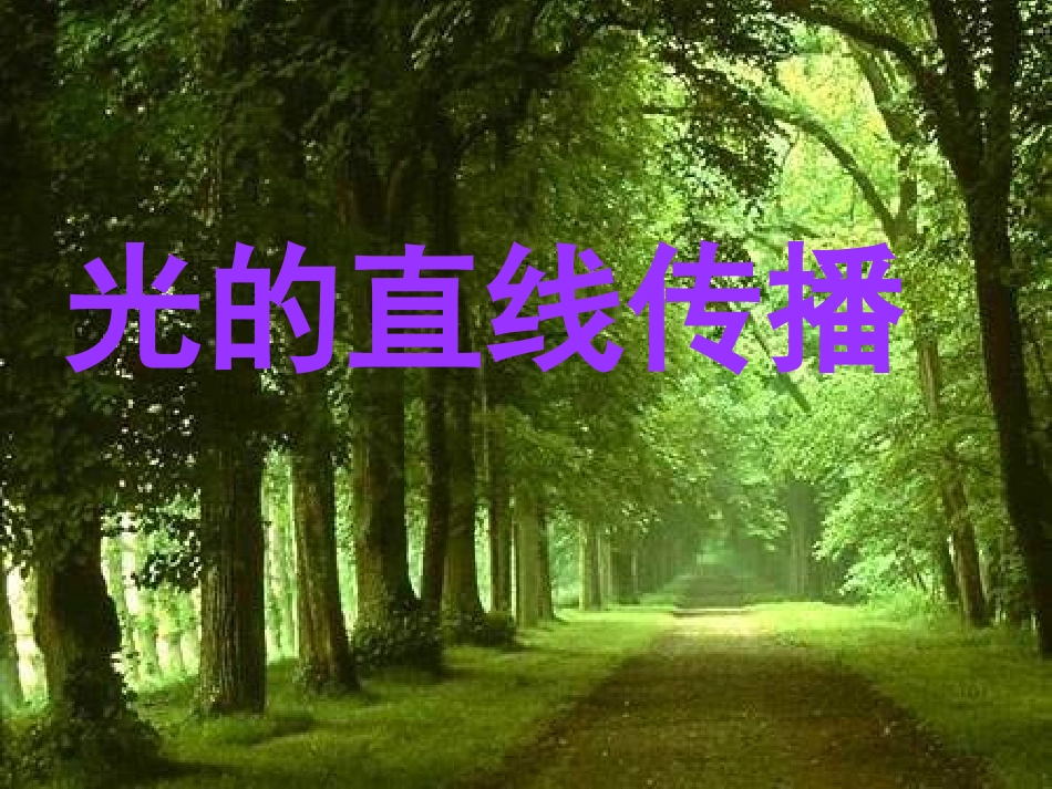 光的直线传播 (5)_第1页