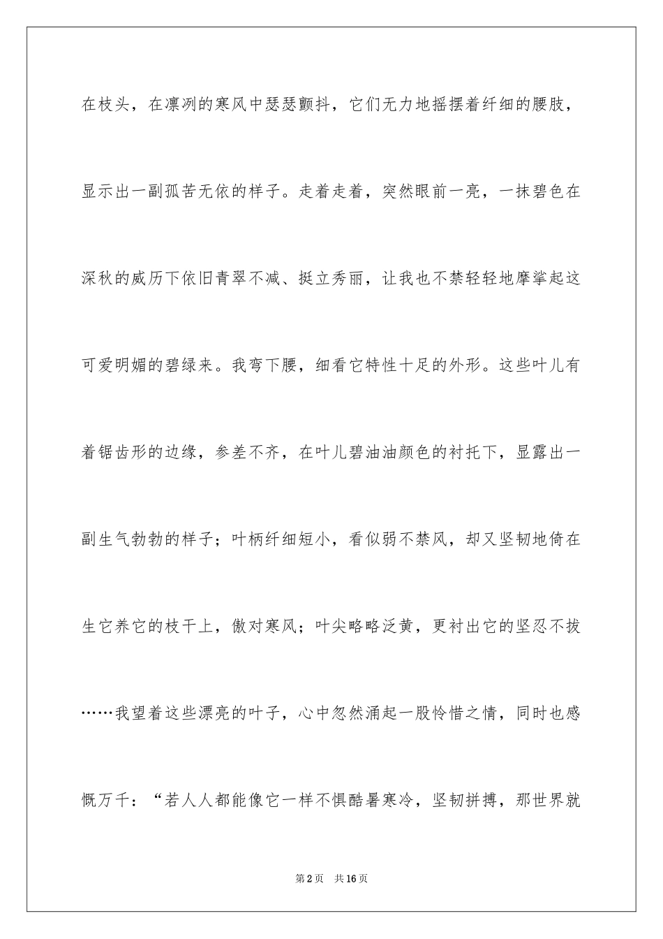 2024冬青作文300字_123_第2页