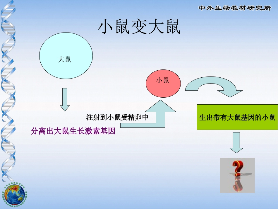 现代生物技术的应用_第3页
