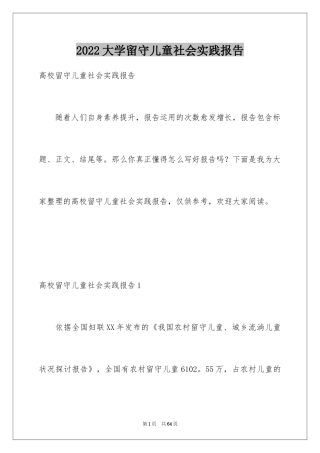 2024大学留守儿童社会实践报告