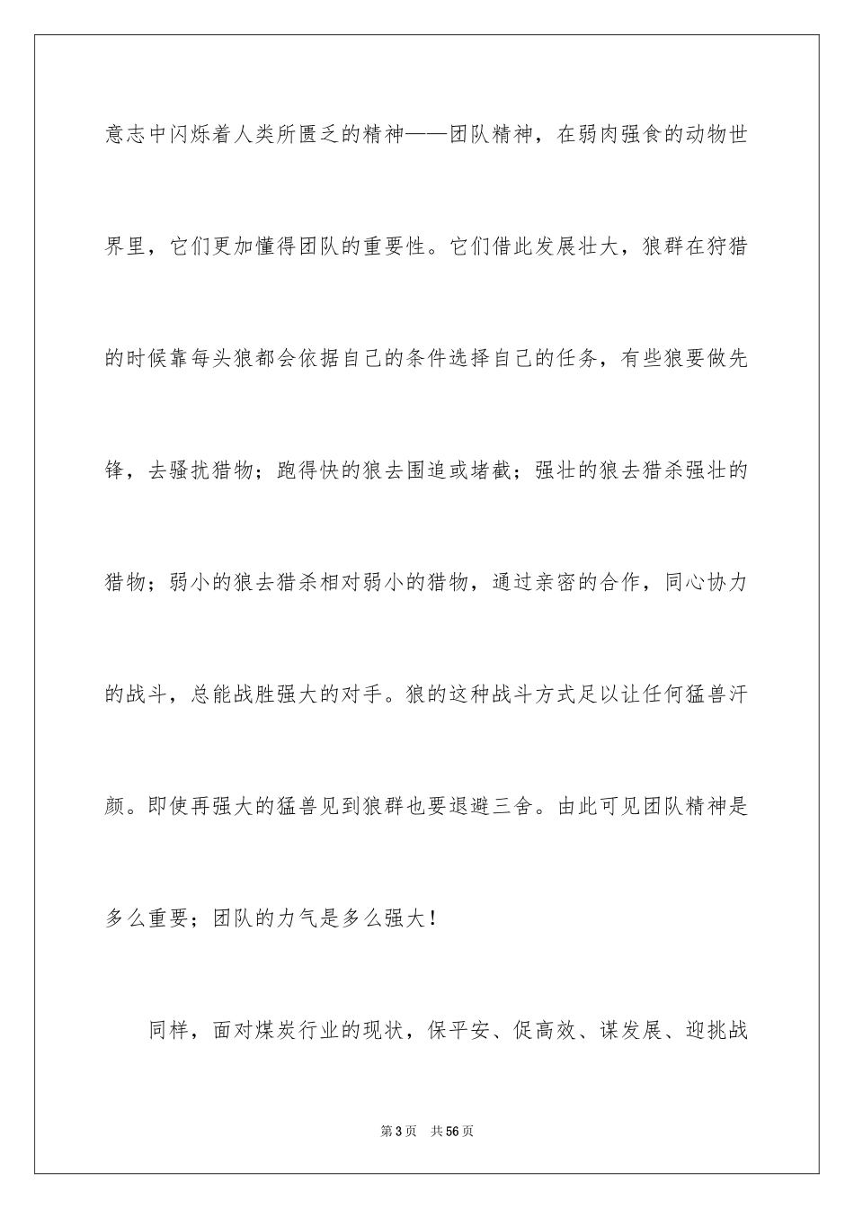 2024团队的演讲稿_1_第3页