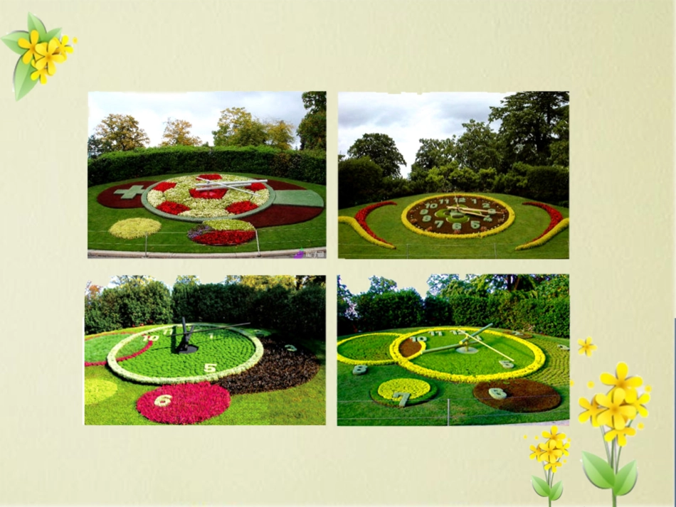 《花钟》PPT_第3页