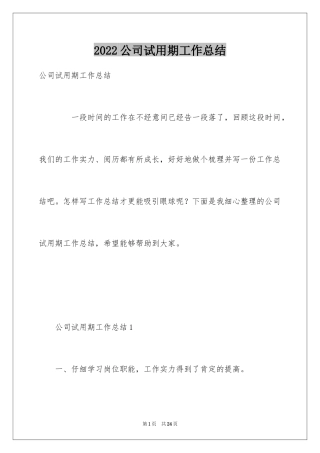 2024公司试用期工作总结_2