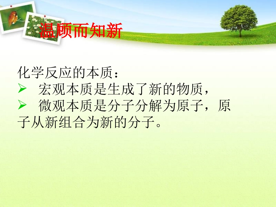 《质量守恒定律》讲课_第2页