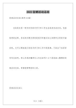 2024促销活动总结_1