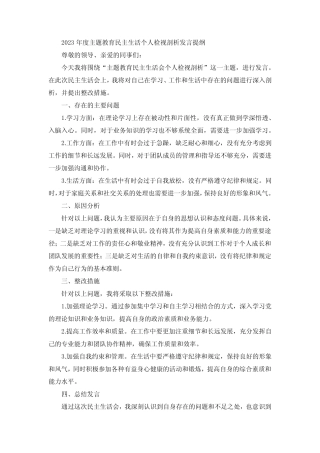 2023年度主题教育民主生活个人检视剖析发言提纲