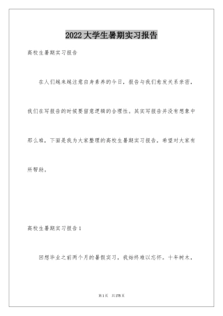 2024大学生暑期实习报告_2