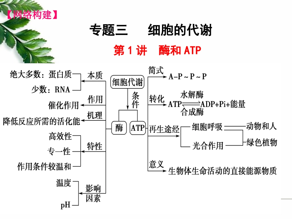 曾义二轮复习备考交流_第3页