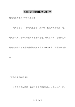 2024元旦的作文700字_6