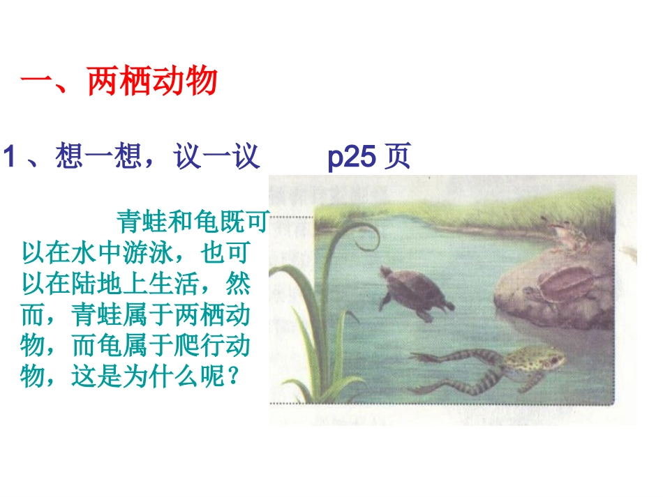 两栖类和爬行类_第2页