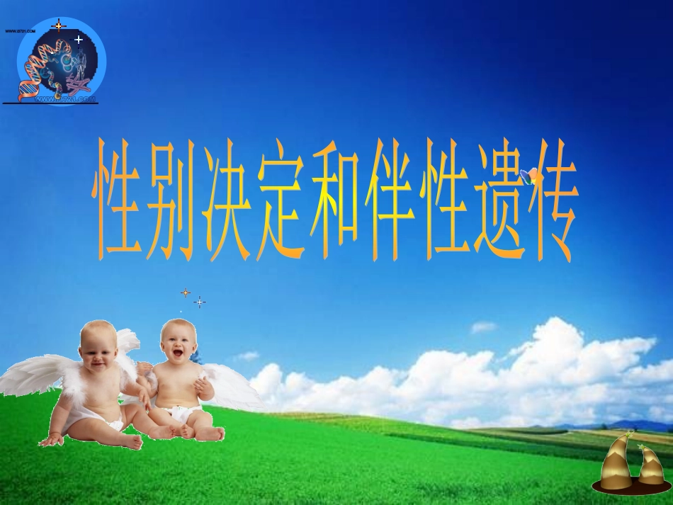 伴性遗传(公开课)(1)_第1页