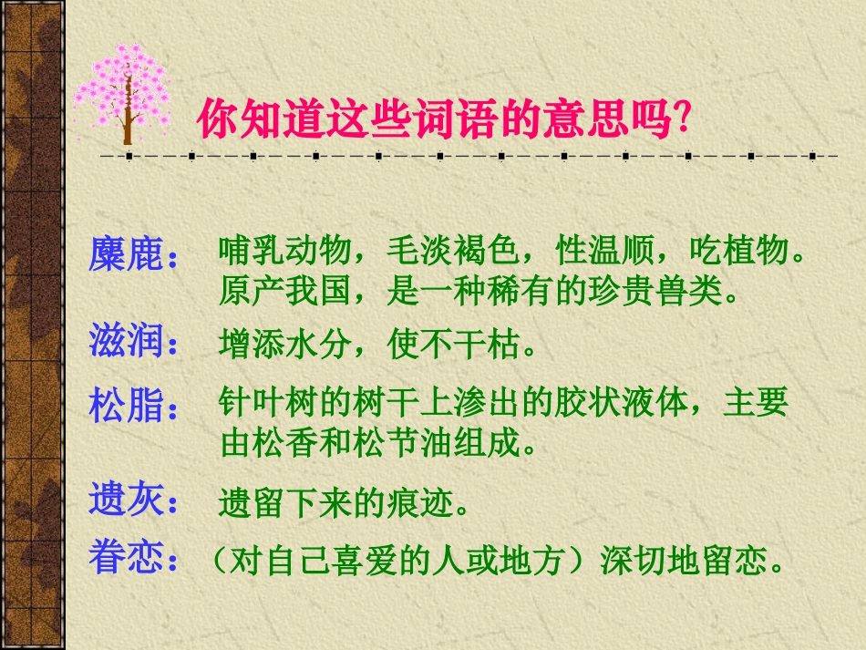 这片土地是神圣的 (2)_第3页