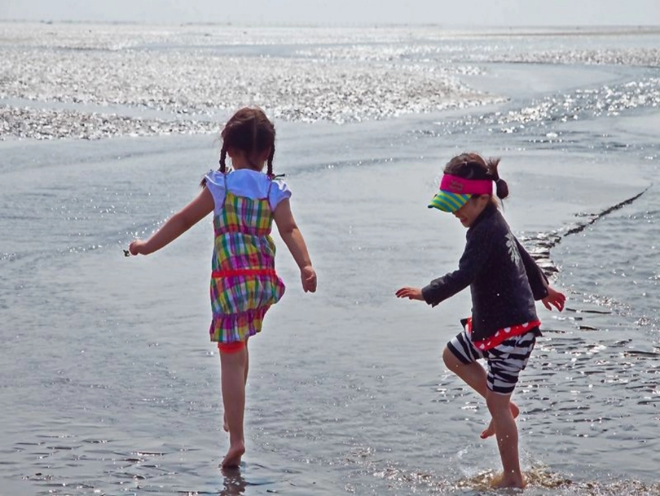 大海啊故乡PPT课件_第2页