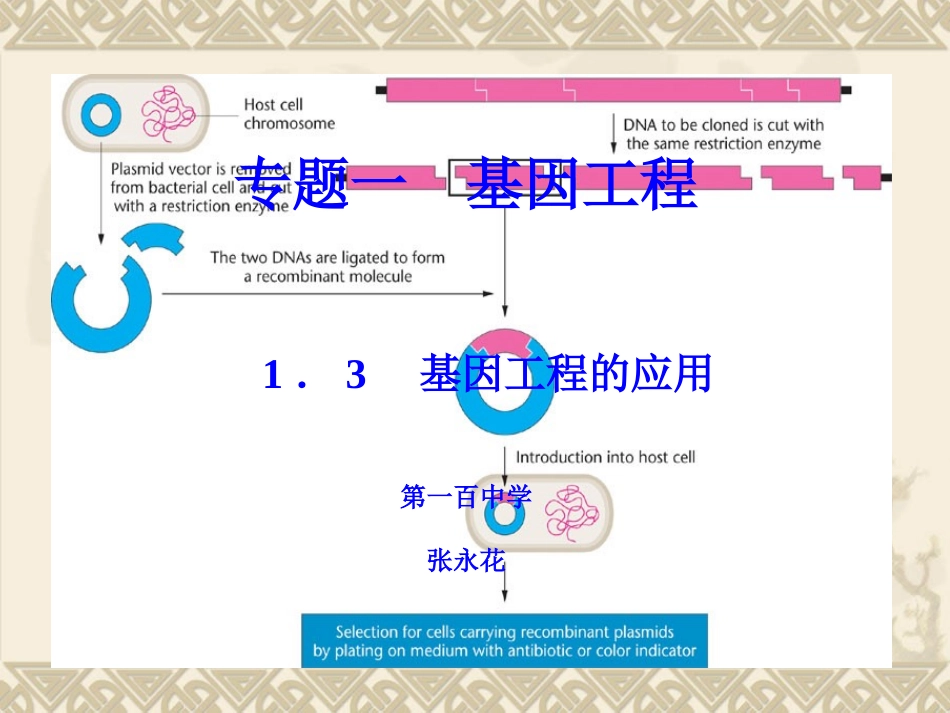 基因工程应用_第1页