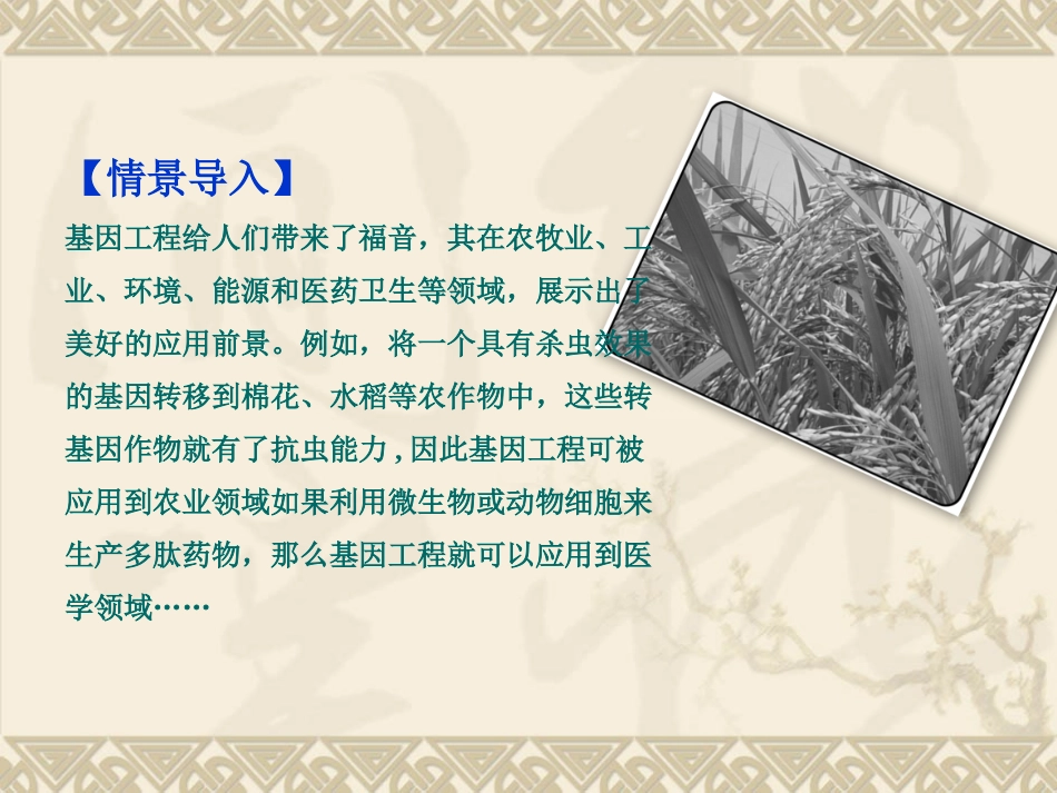 基因工程应用_第2页