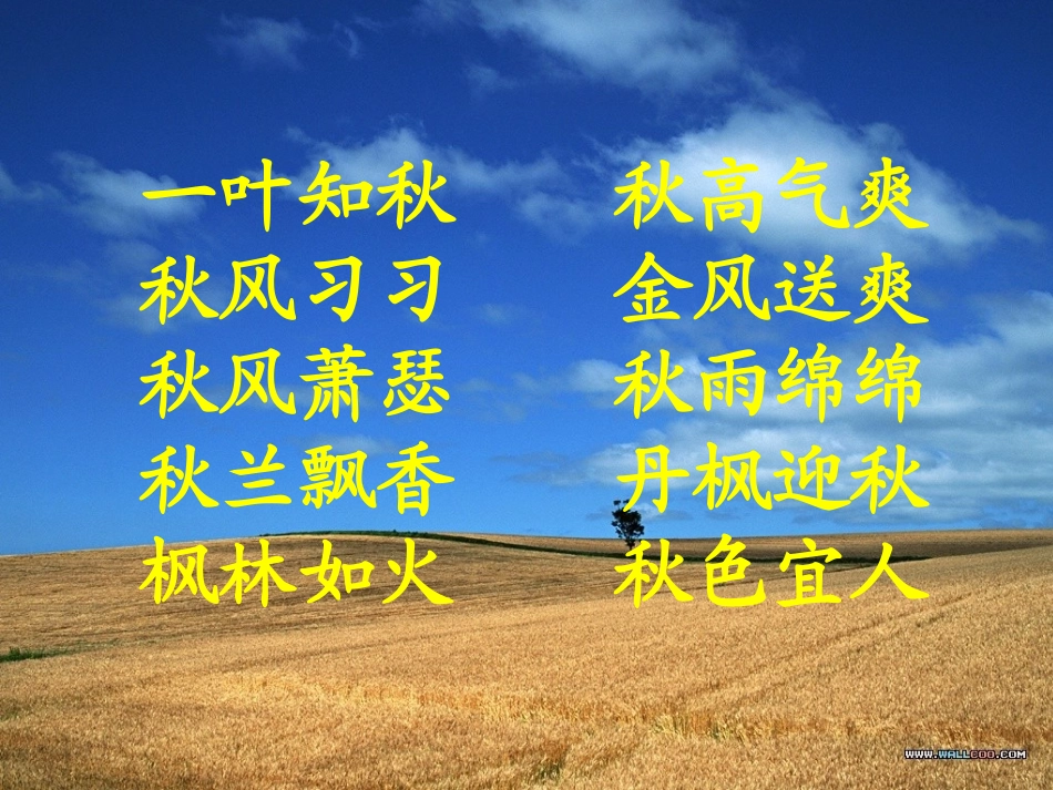 北大荒的秋天_课件_第1页