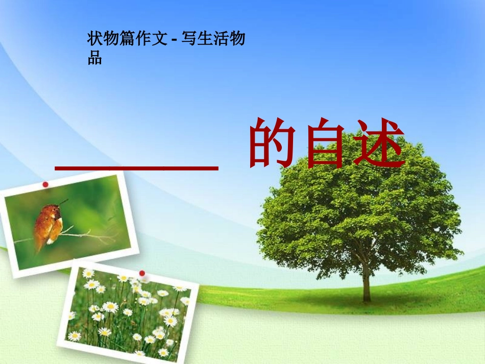 《----的自述》状物篇作文教案_第1页