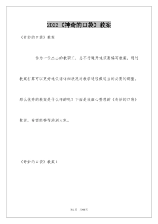 2024《神奇的口袋》教案