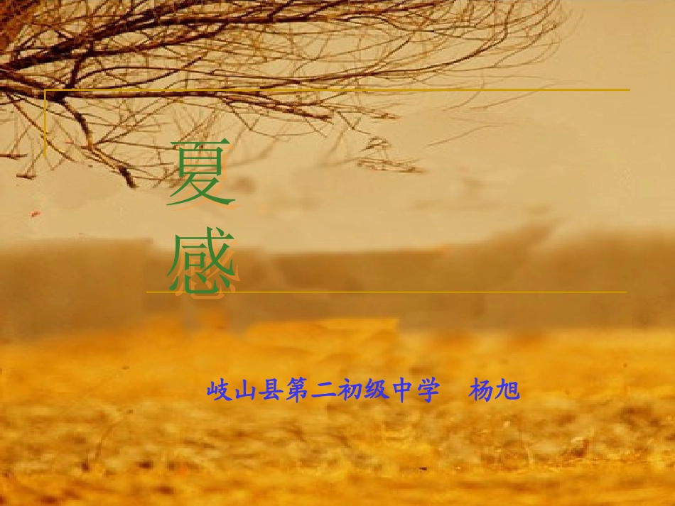 《夏感》课件_第3页