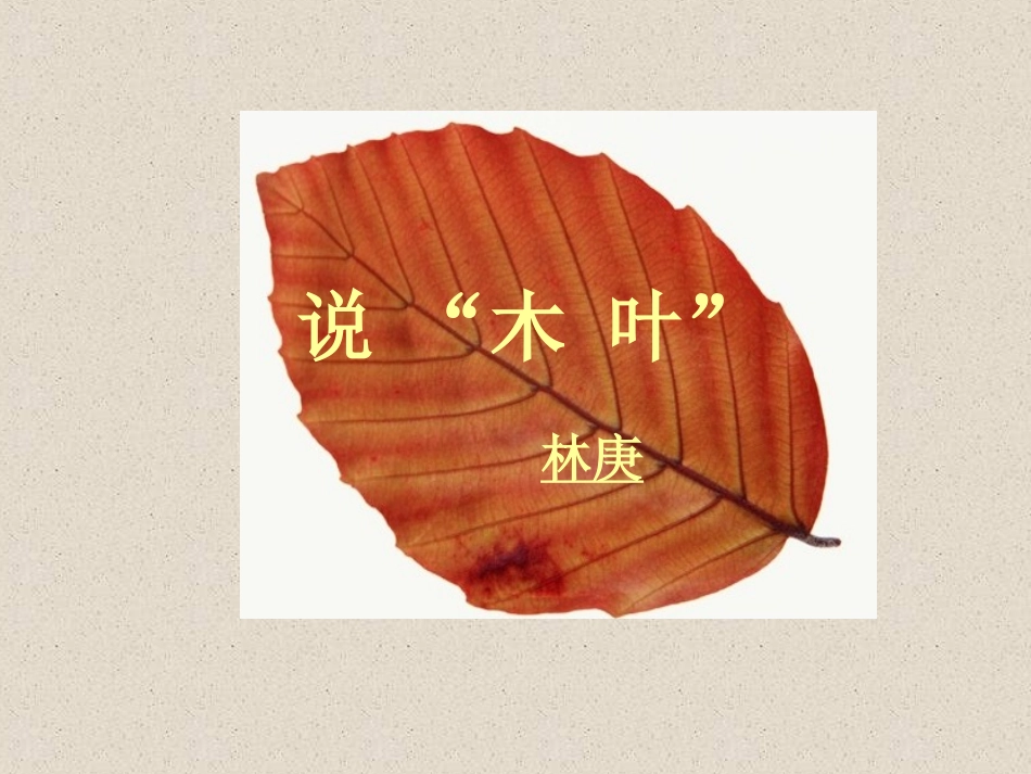 《说木叶》自用_第1页