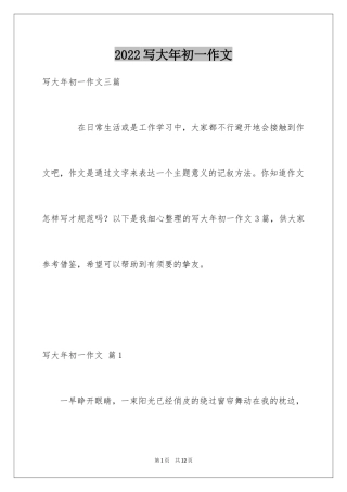 2024写大年初一作文_20