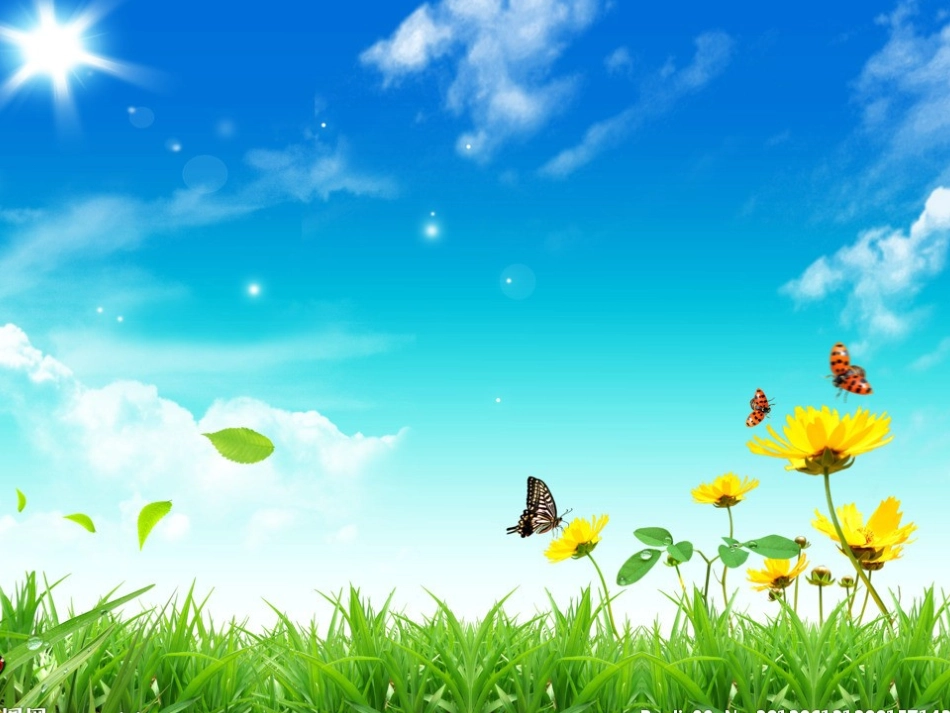 《胖乎乎的小手》课件_第1页