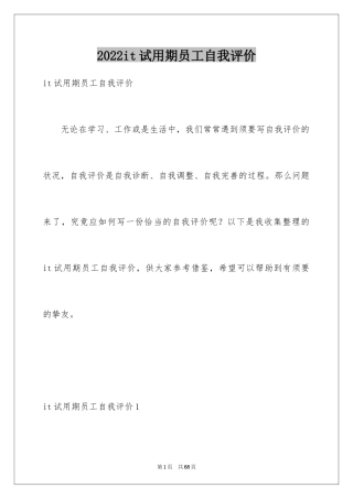 2024it试用期员工自我评价_1