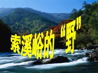 《索溪峪的“野”》课件