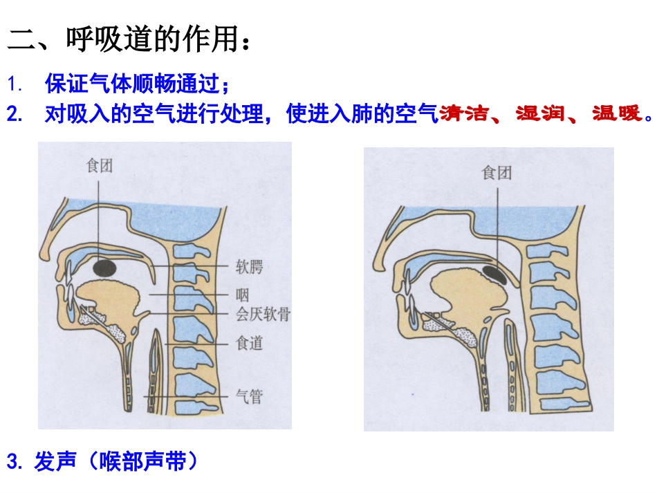 七年级生物下册第三章测试题_第2页