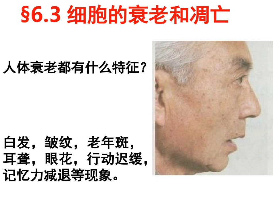 细胞衰老凋亡癌变_第2页