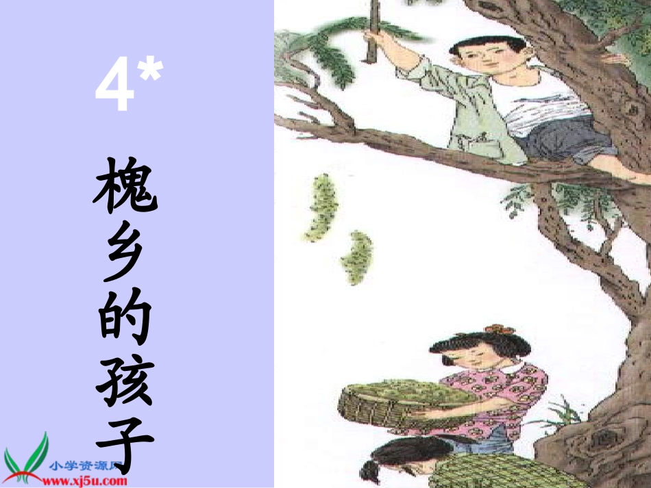 人教新课标三年级语文上册《槐乡的孩子8》PPT课件_第2页