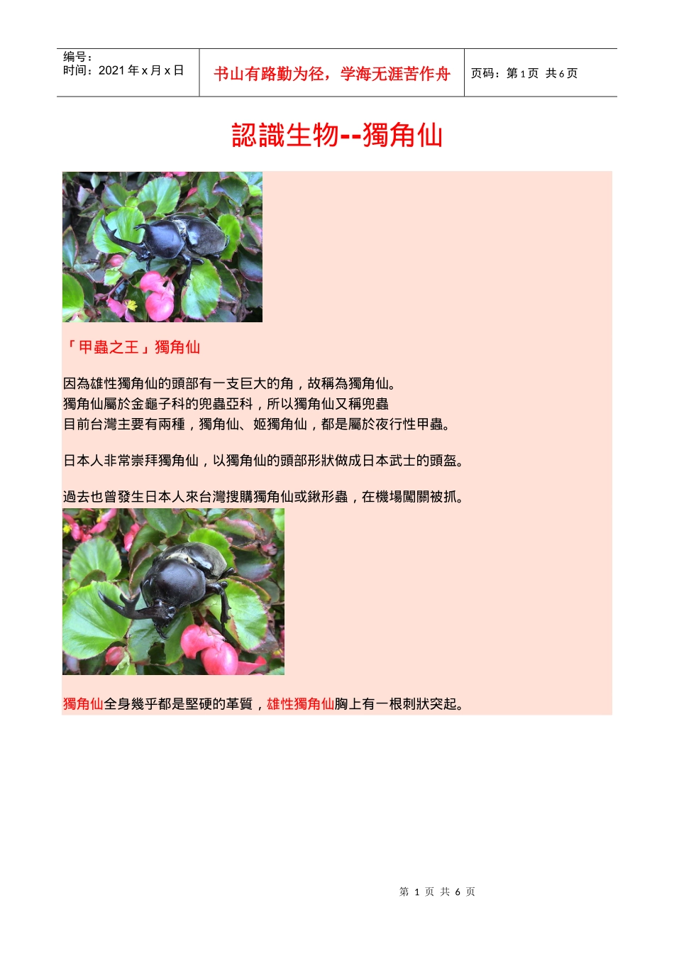 认识生物--独角仙_第1页