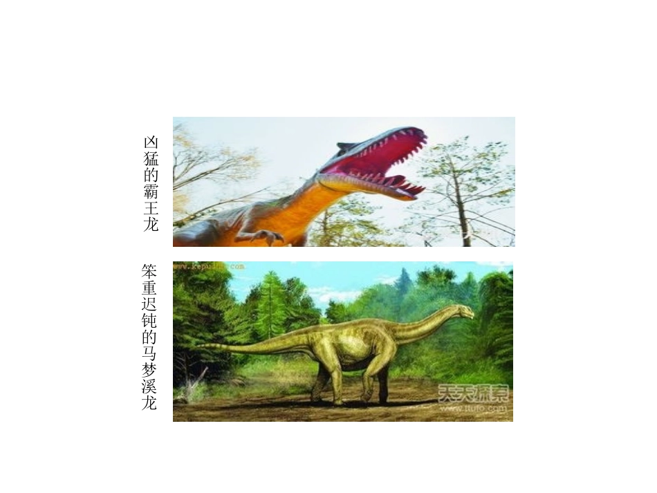 飞向蓝天的恐龙 (3)_第2页