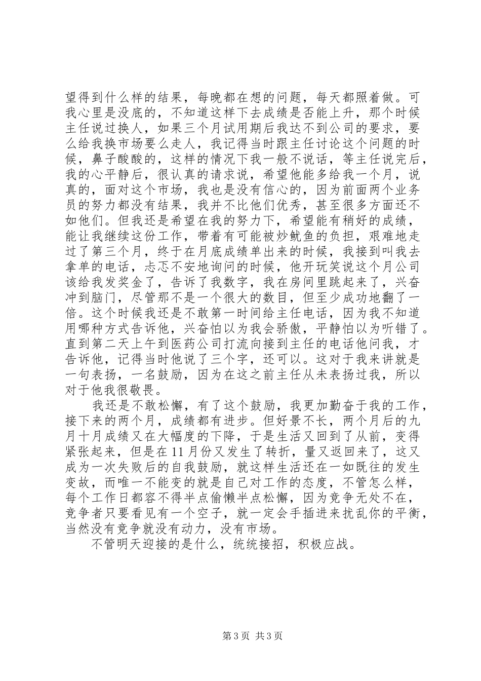 20XX年春节期间工作总结_第3页
