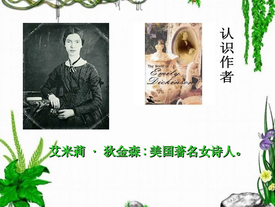 《神奇的书》课件2_第2页