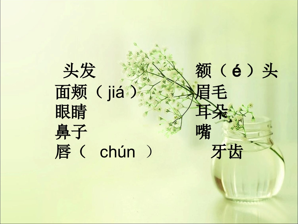 《识字一（1）》_第3页