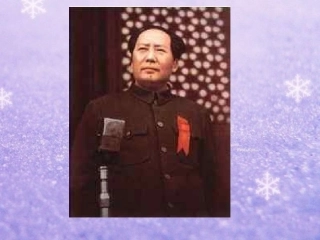 伟人细胞 (2)
