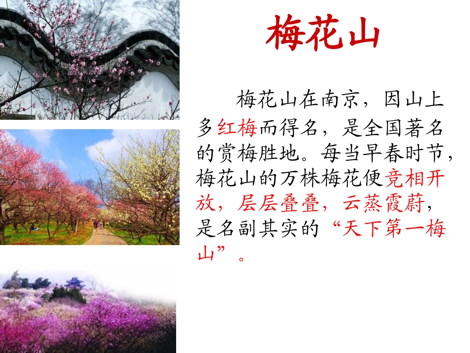 《春到梅花山》_第1页