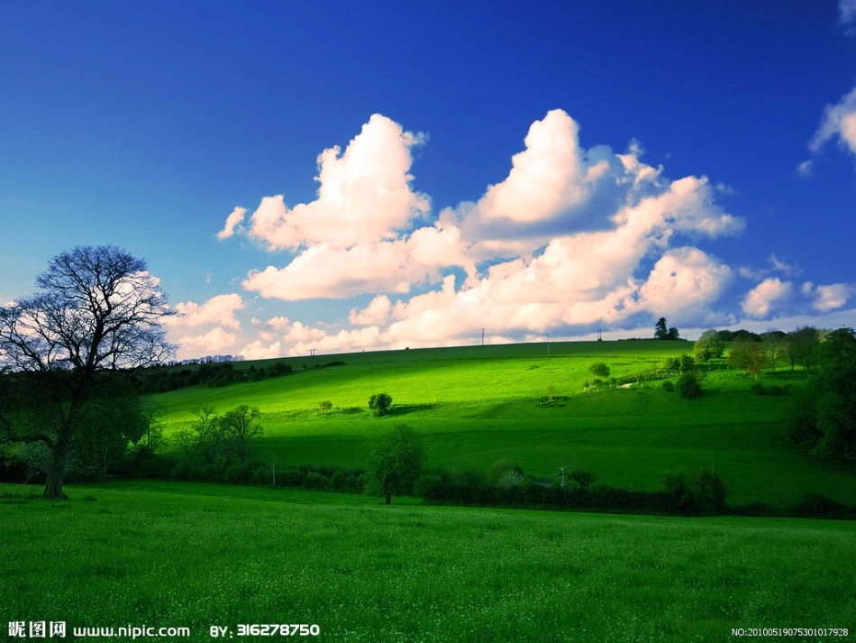 《我们的田野》课件_第2页