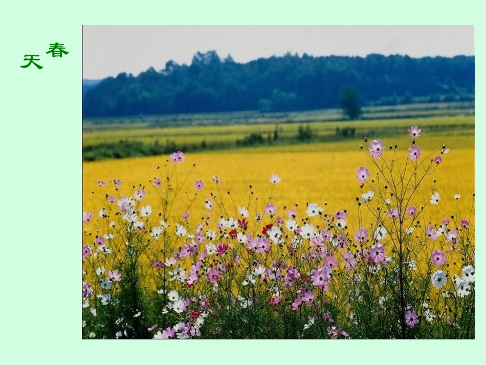 《语文园地一》教学课件_第2页