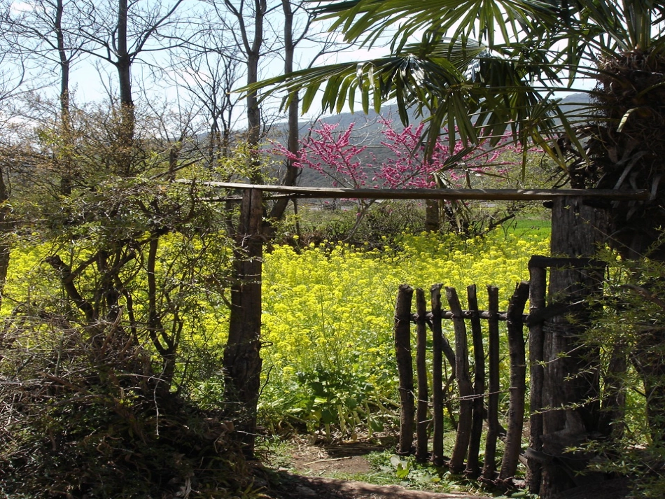 失踪的森林王国课件1(1)_第2页