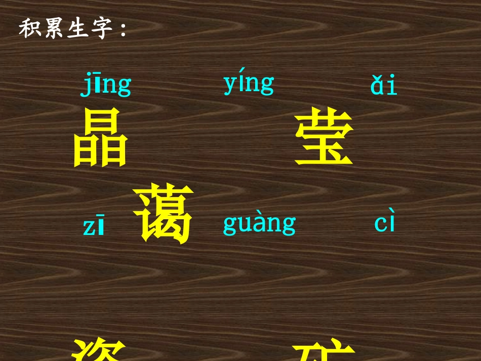 _只有一个地球_第3页