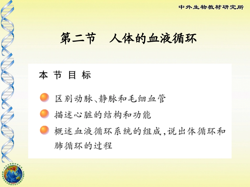人体的血液循环_第1页