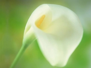 高中一年级化学必修1第一章从实验学化学第二节化学计量在实验中的应用第一课时课件