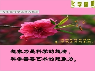 物质是有微粒构成
