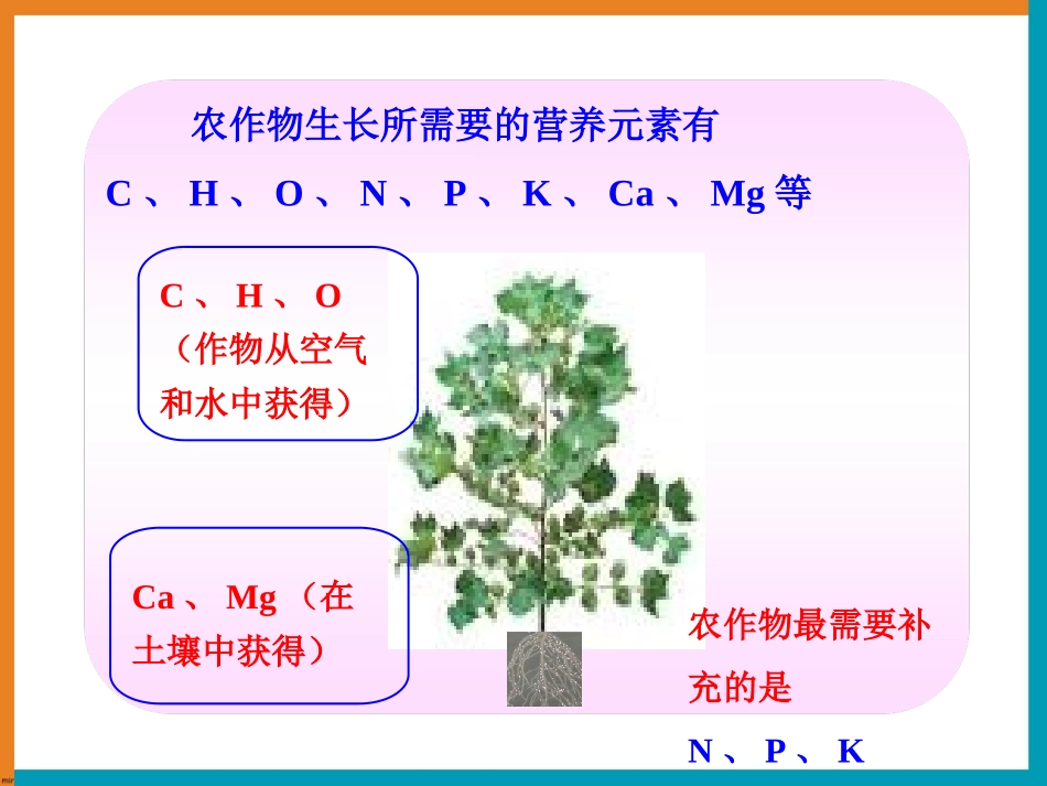 《化学肥料》参考课件1_第3页