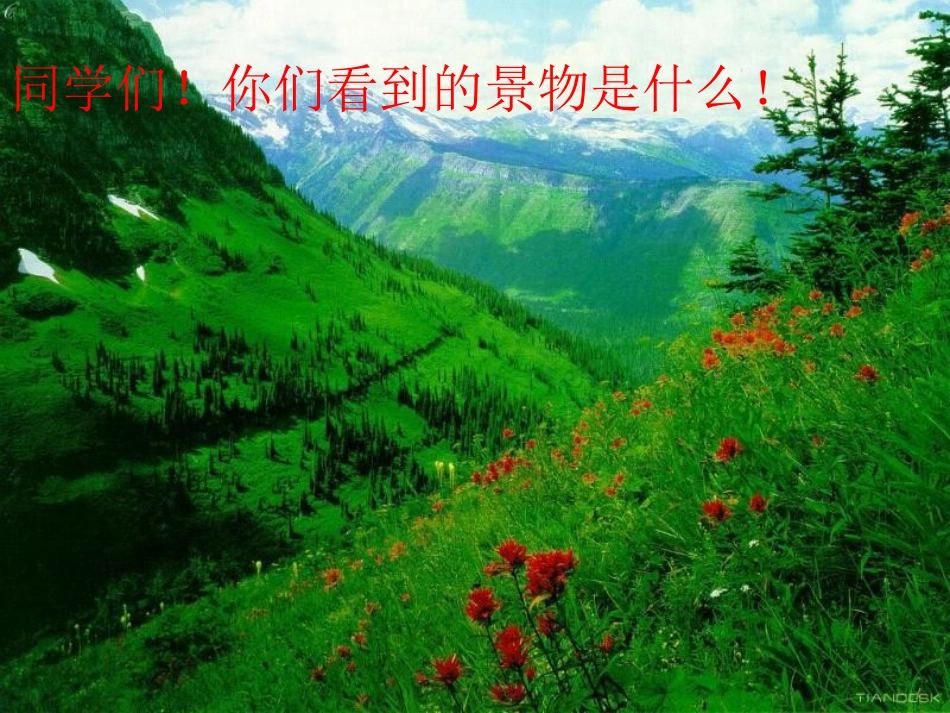 在山的那边2_第1页