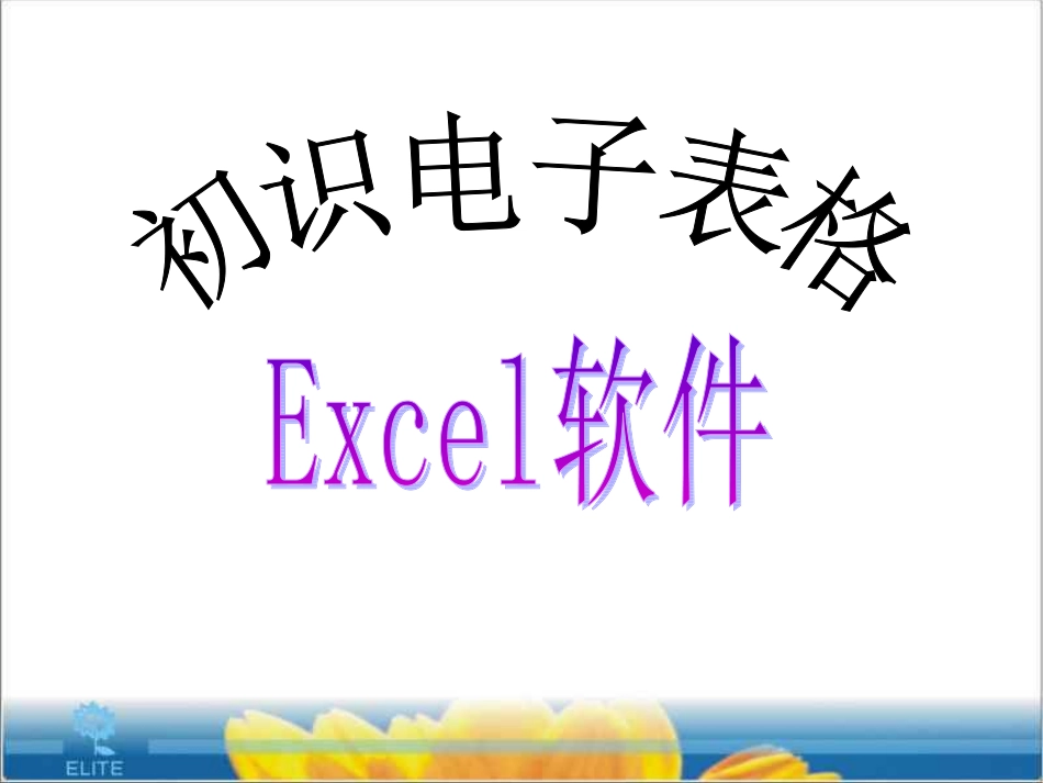 初识电子表格Excel_第1页