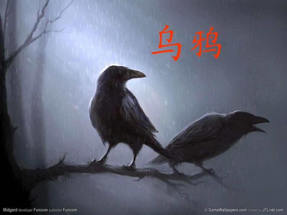 上课课件乌鸦喝水_第3页