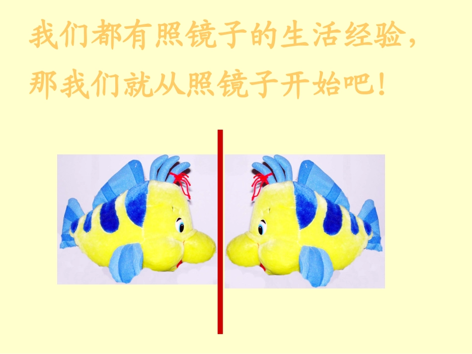 《镜子改变了什么》_第2页